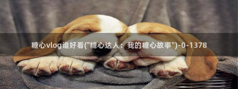 糖心.co：糖心vlog谁好看(\