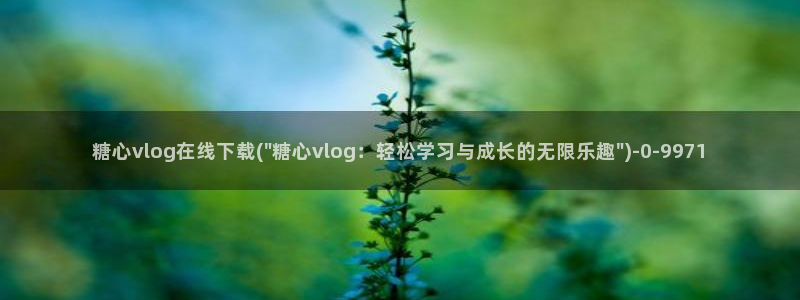 糖心资料：糖心vlog在线下载(\