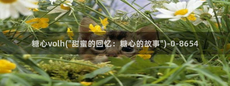 糖心抢先版：糖心volh(\