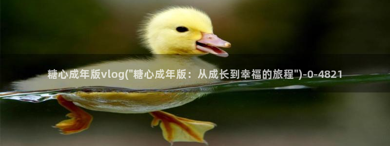 17c糖心